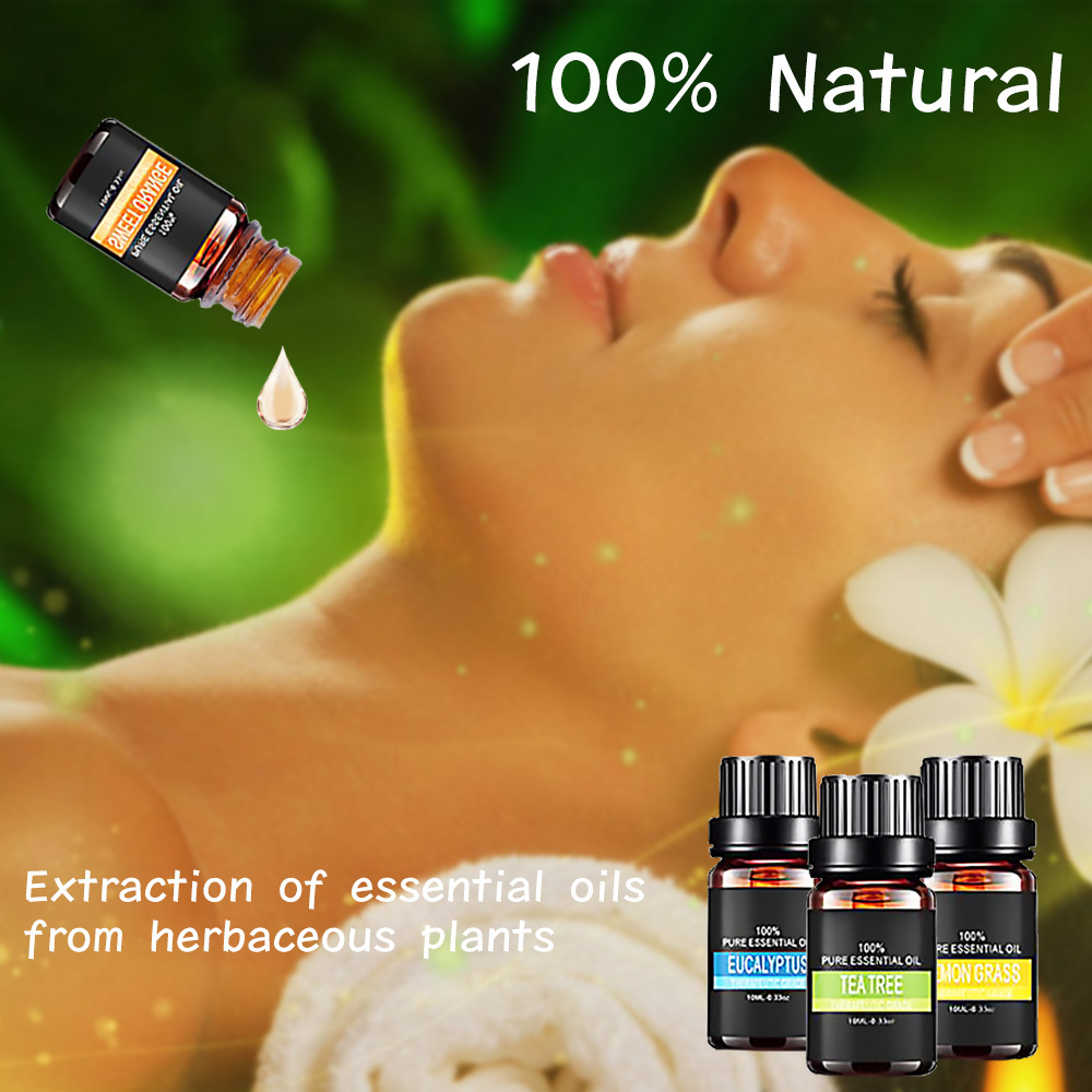 Organic Essential Oils Set Top Sale Natural Therapeutic Grade Aromatherapy Oil Gift Kit For Diffuser - Image 3